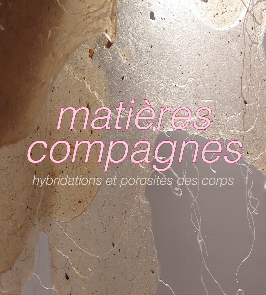 Image des matériaux  bio-plastique transparents suspendus